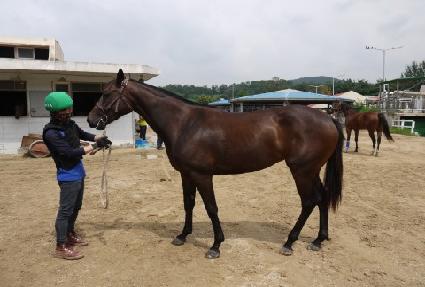 �ݺ��ҳ�Ÿ ����