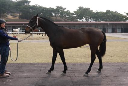 ����Ÿ�� ����