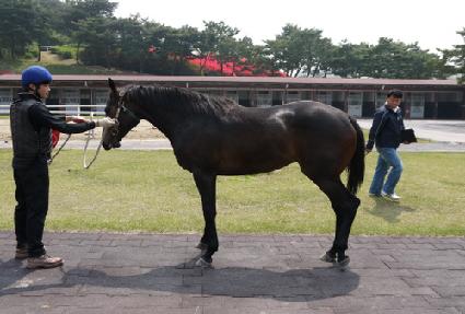 ����ġŷ ����