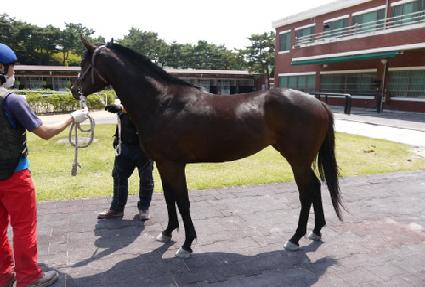 �����ٶ� ����