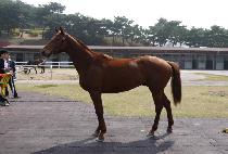 ��ۼ��� (GIPPEUN SUNGAN) ����