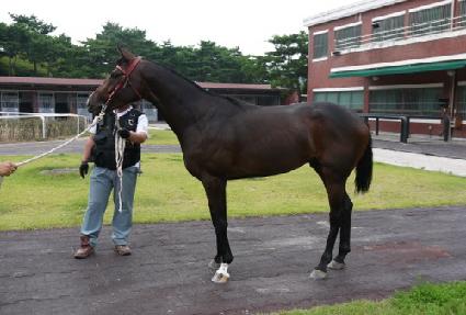 ���̿��� ����