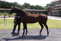 ťƮ���� (CUTE DANCE) ����