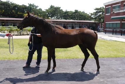 ťƮ���� ����