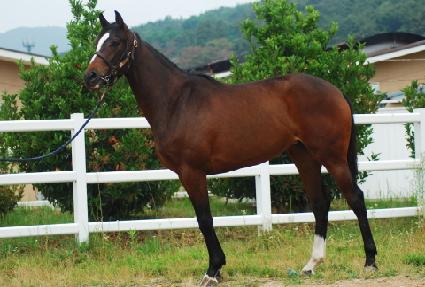 ����� ����