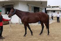 �ҹ����λ� (SOBAKANINSAENG) ����