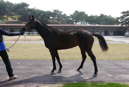 ������� ����