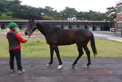 õ�ǰ��� ����