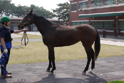 �帲������ ����