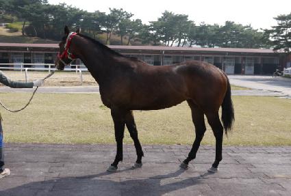 �������� ����