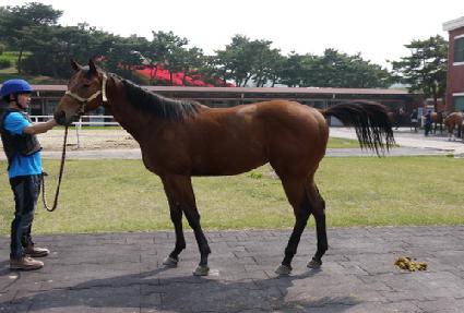 �Ƹ�������� ����