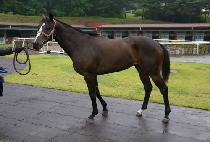 ������ (BORA ZONE) ����