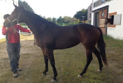 �������� ����