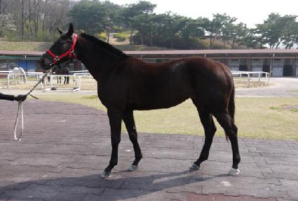 �������� ����