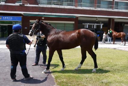 ��Ǫ��õ���� ����