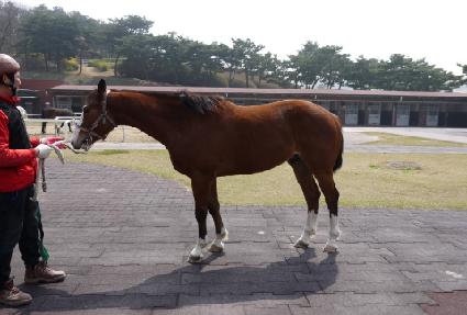 ��Ǫ��ǻ�� ����