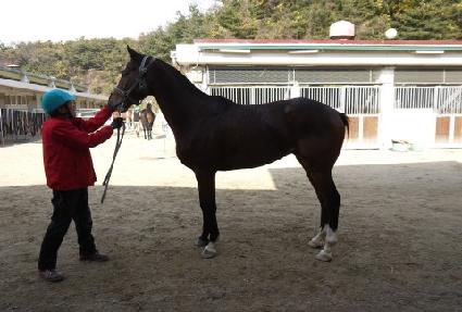 �����ô� ����