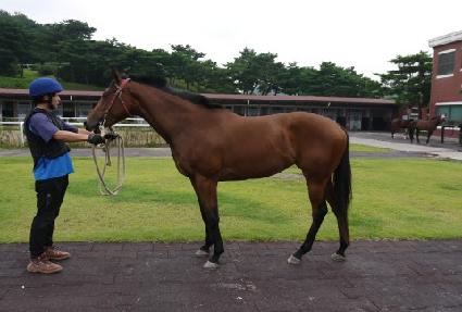 ���� ����