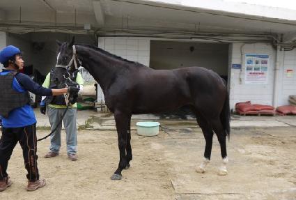 ������ ����