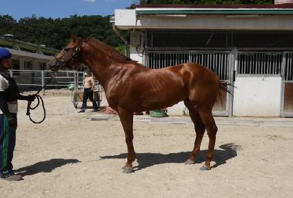 ¯��¯ ����