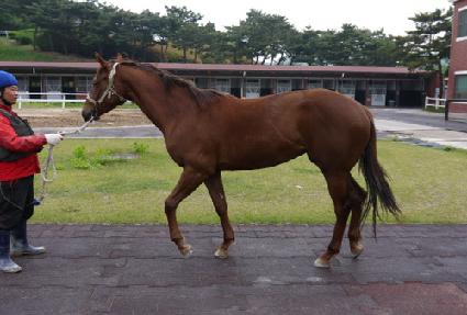 ����Ĺ ����