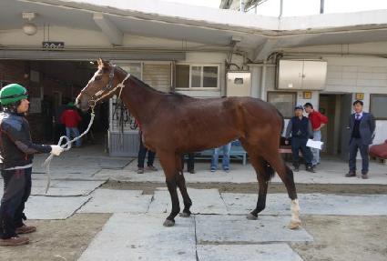 �������� ����