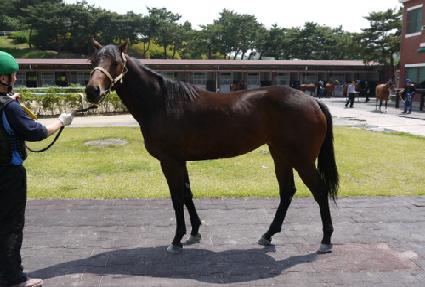 �̽��ڸ��� ����