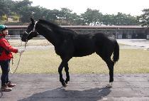 ��ǳ���� (POKPUNGDOLJIN) ����