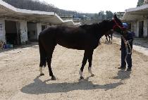 õ����ȭ�� (CHEONSANGUI HWAWON) ����