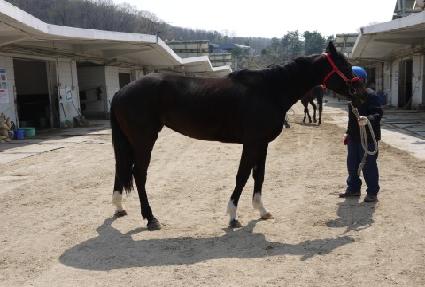 õ����ȭ�� ����