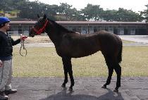 ���׿��� (RUNNING OF) ����