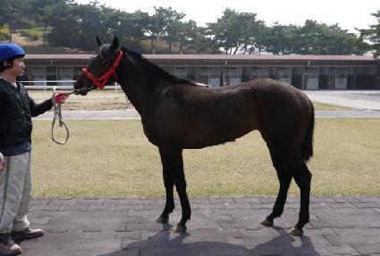 ���׿��� ����