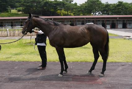 ��õ�� ����