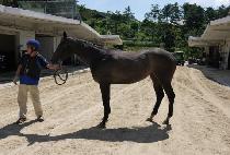 �޷����Ű (DALLYEORALUCI) ����