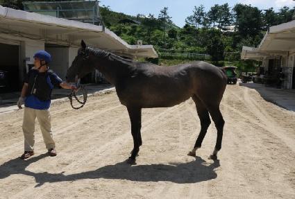 �޷����Ű ����