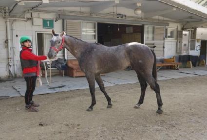 �������ָ� ����