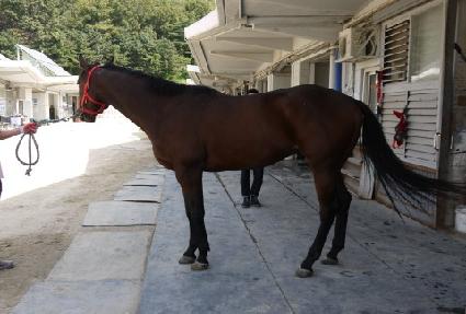 ���ְ��� ����