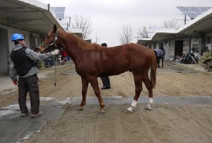 ���׽��ǵ� ����