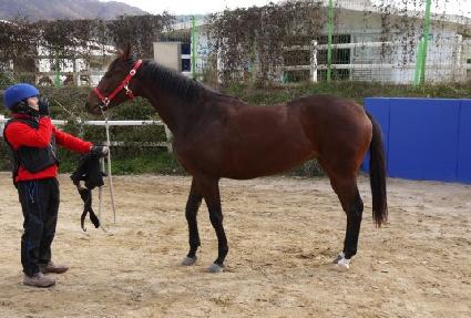 ��ŷ�� ����