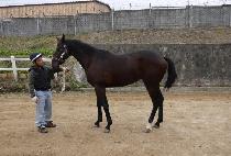 �ְ����� (CHOEGANG RUNNING) ����