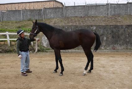 �ְ����� ����