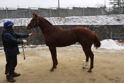 ����� ����