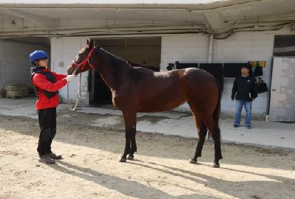 ���̾�۷θ� ����