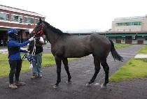 ��Ű���� (SHARKY BOY) ����