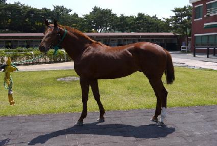 �������� ����