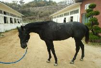 �ܽ� (AT SEA) ����