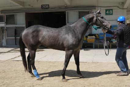 ��극��ũ ����