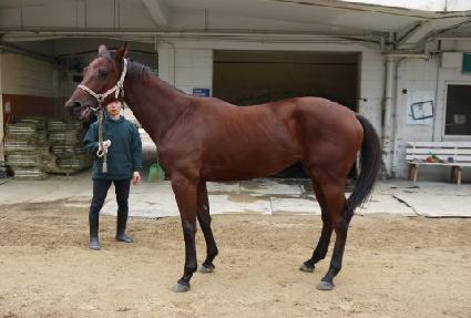 ��Ƽ�� ����