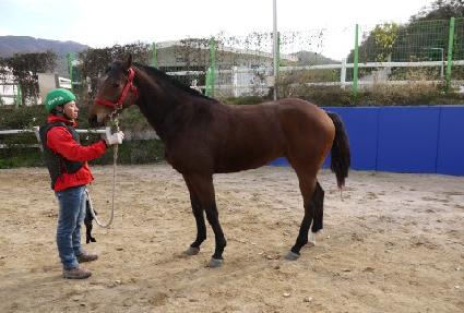 ����źȯ ����