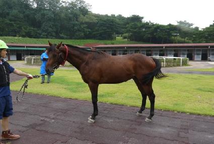 ���ǵ��� ����